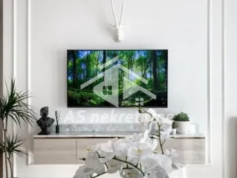 Izdavanje, dvosoban stan, 56m², Savski Venac, Beograd - image 6