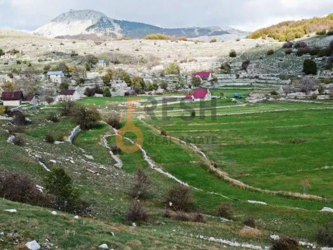 Prodaja, plac, 4307m², Cetinje, Crna Gora - image 5