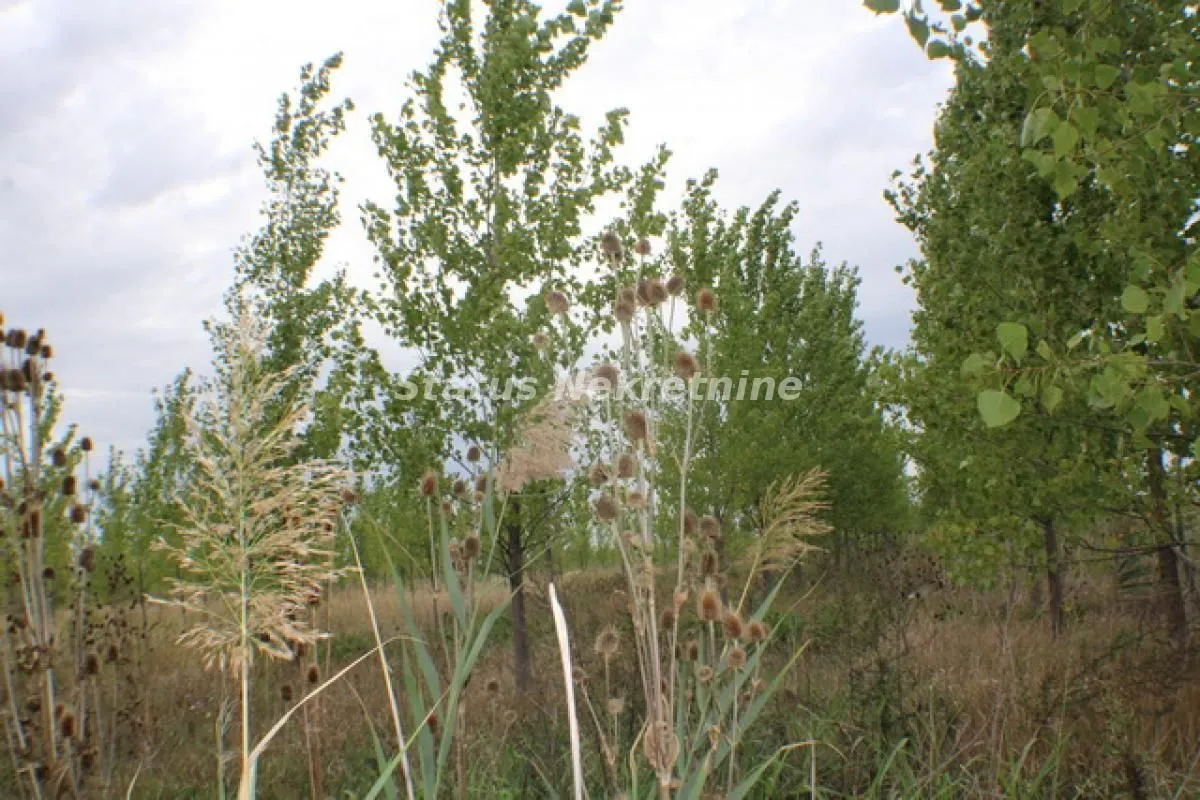 Prodaja, plac, 1378m², Zrenjanin, Srbija
