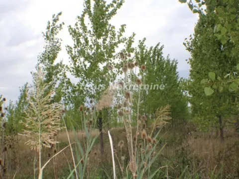 Prodaja, plac, 1378m², Zrenjanin, Srbija - image 41