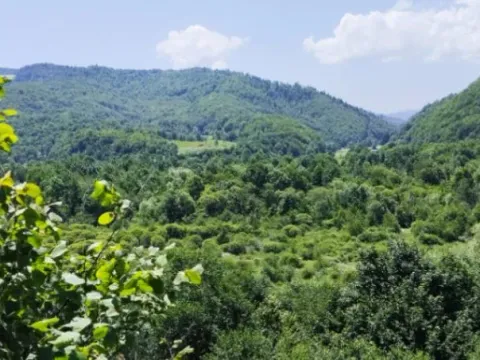 Sale, land lot, 3021m², Vladoš, Kolašin - image 3