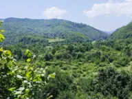 Sale, land lot, 3021m², Vladoš, Kolašin - image 3