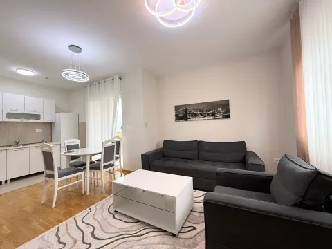 Izdavanje, jednosoban stan, 46m², City Kej, Podgorica - image 4