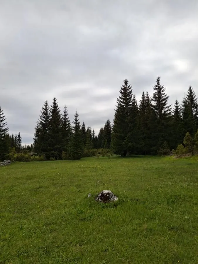 Sale, office space, 500m², Žabljak, Crna Gora