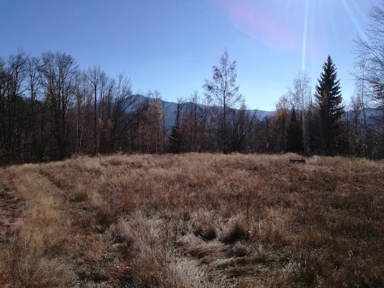Prodaja, plac, 138000m², Kolašin, Crna Gora