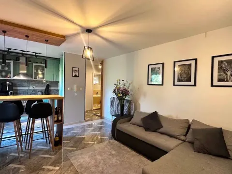 Sale, two bedroom apartment, 55m², Budva okolina, Budva - image 2