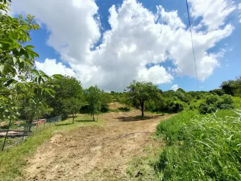 Prodaja, plac, 1500m², Rakovac, Novi Sad Sve Podlokacije - image 9