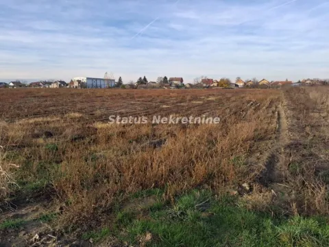 Prodaja, plac, 570m², Futog, Novi Sad Sve Podlokacije - image 5