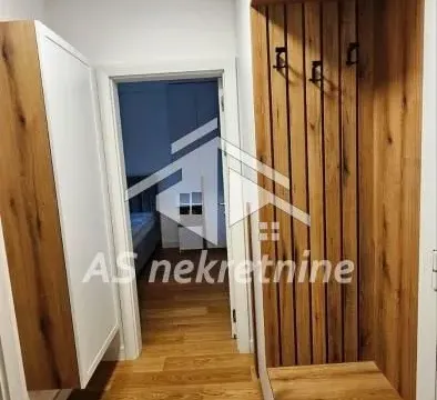 Izdavanje, dvosoban stan, 47m², Vračar Sve Podlokacije, Beograd - image 4