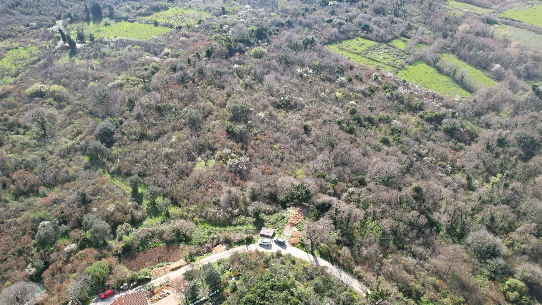 Sale, land lot, 40000m², Buljarica, Budva