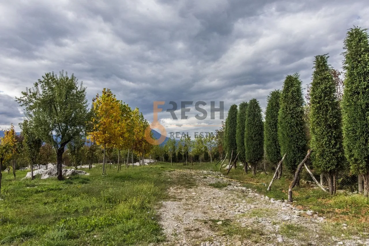 Prodaja, plac, 36246m², Danilovgrad, Crna Gora