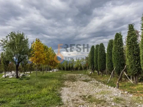 Prodaja, plac, 36246m², Danilovgrad, Crna Gora - image 5