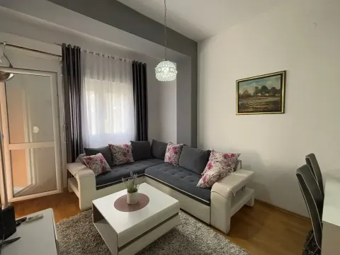 Rent, one bedroom apartment, 45m², Ljubović, Podgorica - image 2