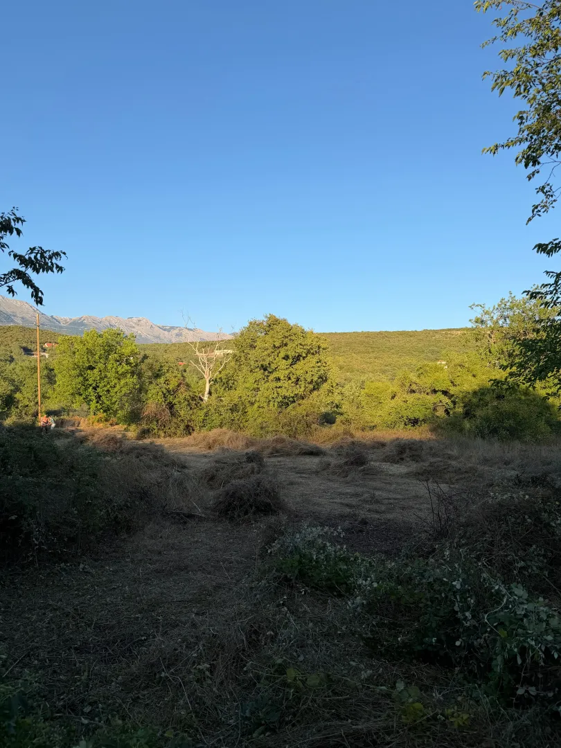 Pogled na zemljište sa rastinjem i okolnim brdima.