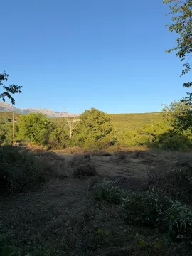 Pogled na zemljište sa rastinjem i okolnim brdima. - image 2