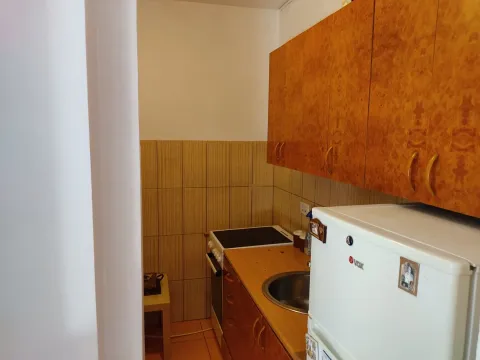 Izdavanje, jednosoban stan, 40m², Dalmatinska ulica, Podgorica - image 5