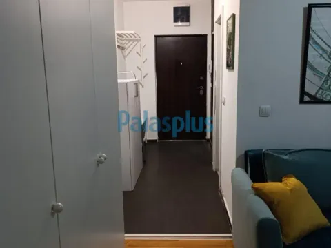 Izdavanje, jednosoban stan, 31m², Olimp, Zvezdara Sve Podlokacije - image 8