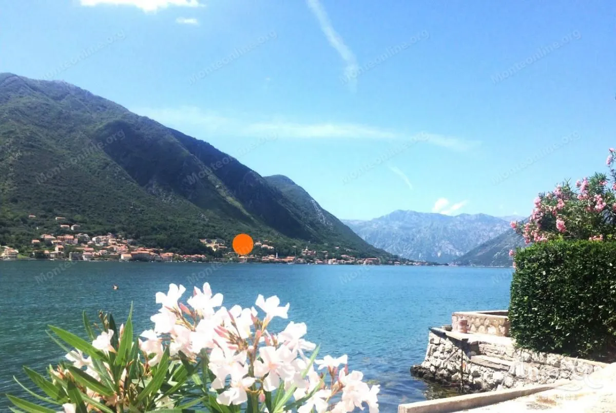 Prodaja, plac, 5000m², Prčanj, Kotor