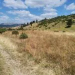 Prodaja, plac, 35832m², Žabljak, Crna Gora - image 5