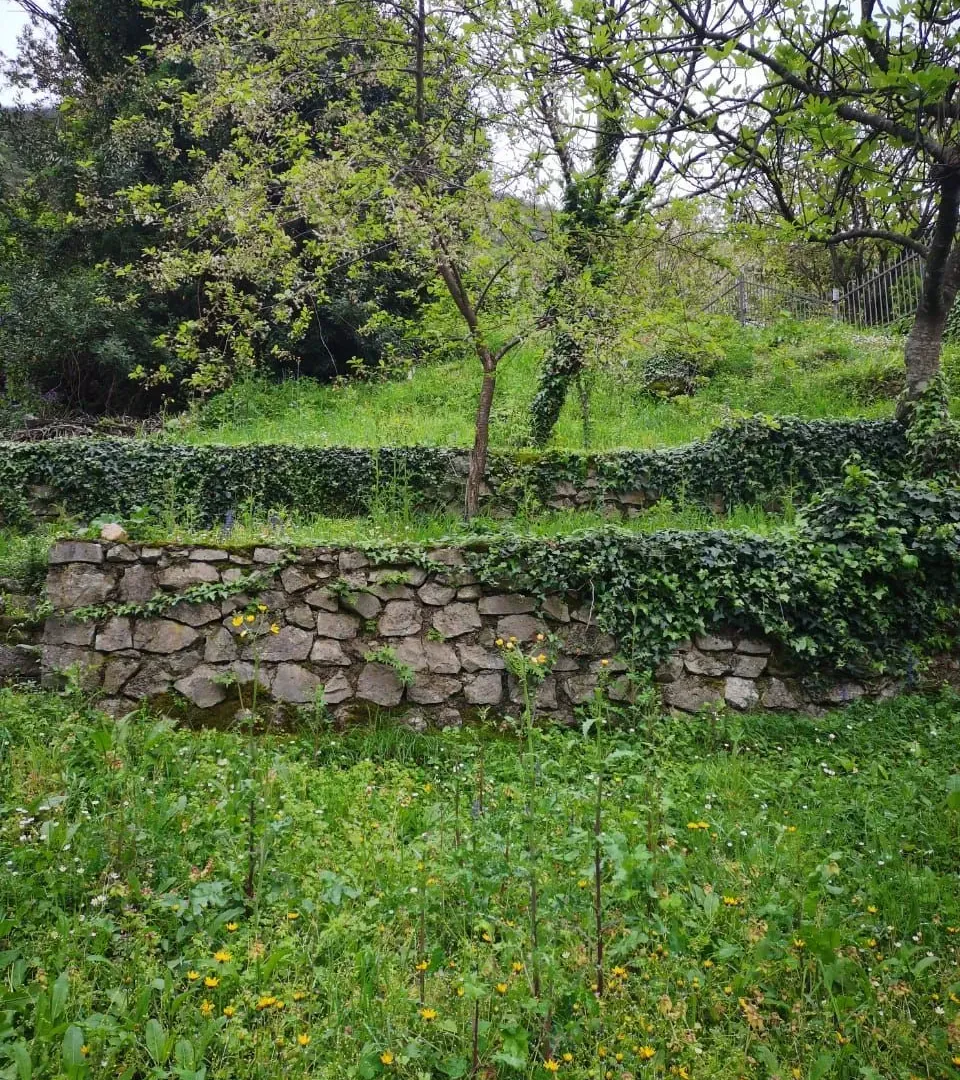 Prodaja, kuća, 104m², Stoliv, Kotor