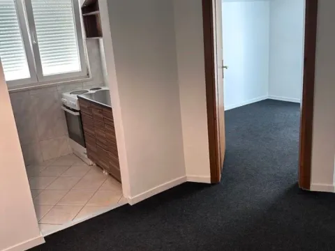 Izdavanje, jednosoban stan, 39m², Stari Aerodrom, Podgorica - image 11