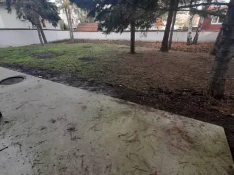 Izdavanje, kuća, 600m², Dedinje Rtv Pink, Dedinje Sve Podlokacije - image 8