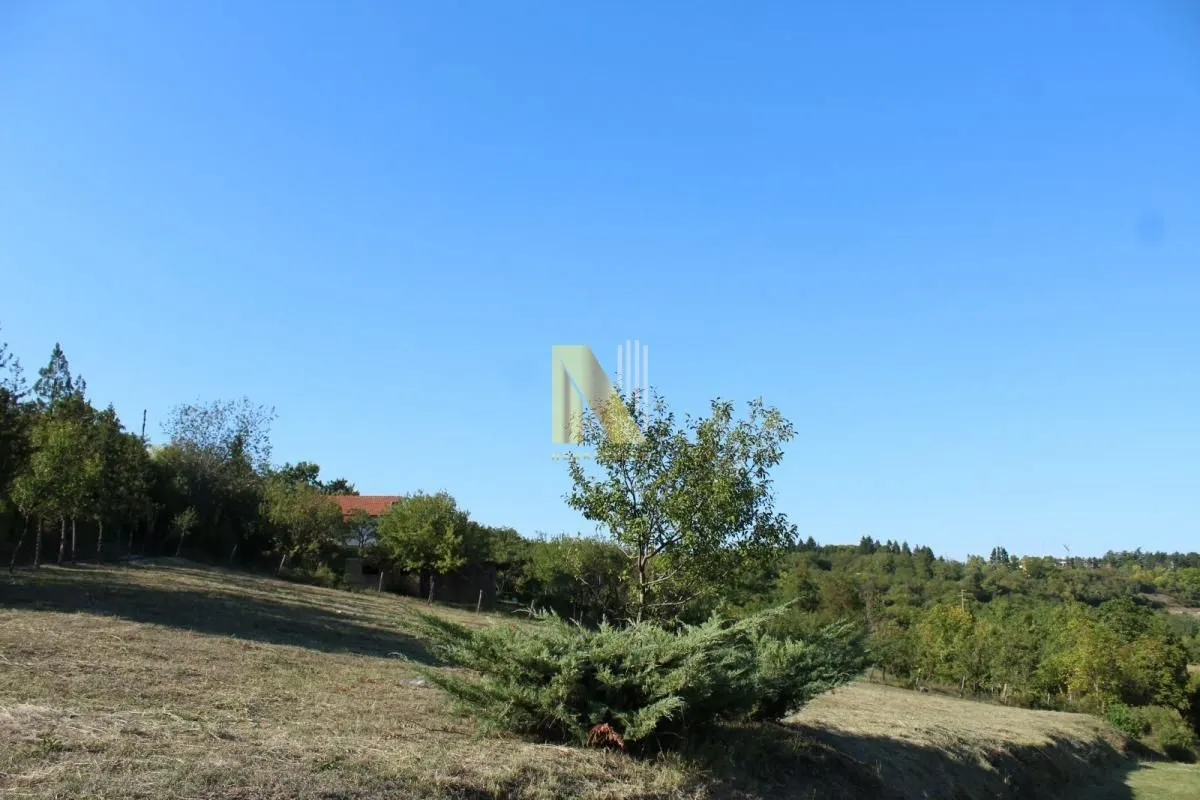 Prodaja, plac, 2000m², Sremska Kamenica, Petrovaradin