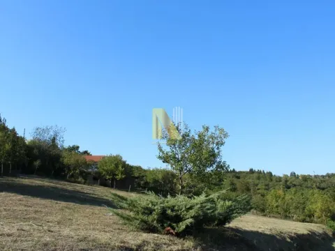 Sale, land lot, 2000m², Sremska Kamenica, Petrovaradin - image 2