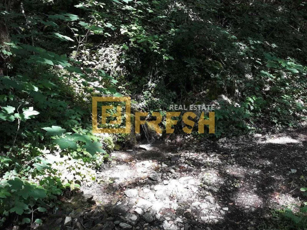 Prodaja, plac, 74000m², Kolašin, Crna Gora
