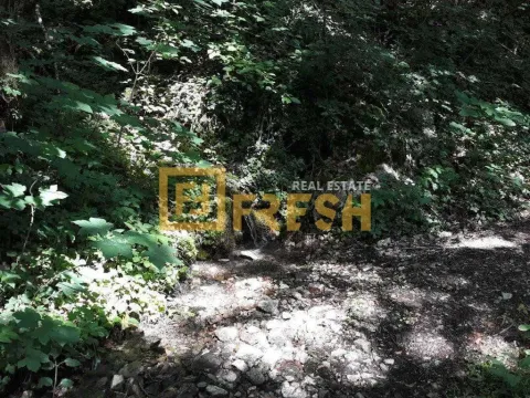 Prodaja, plac, 74000m², Kolašin, Crna Gora - image 15