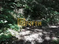 Prodaja, plac, 74000m², Kolašin, Crna Gora - image 15