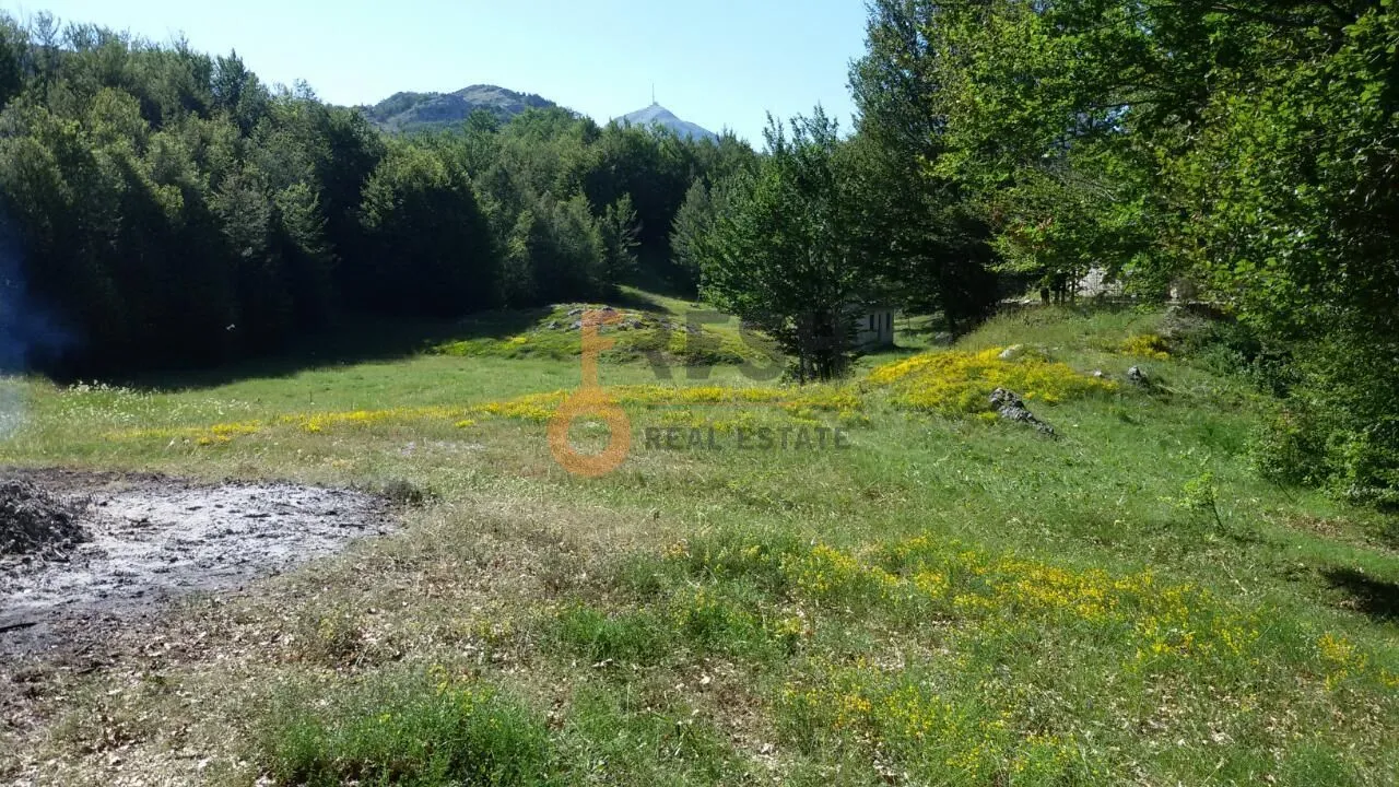 Prodaja, plac, 100000m², Cetinje, Crna Gora