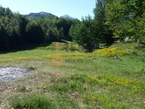 Prodaja, plac, 100000m², Cetinje, Crna Gora - image 19