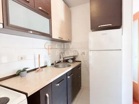 Izdavanje, stan, 42m², Stari Aerodrom, Podgorica - image 10