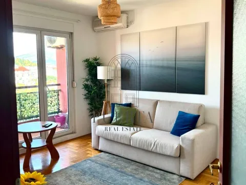 Rent, studio apartment, 29m², Zabjelo, Podgorica - image 1