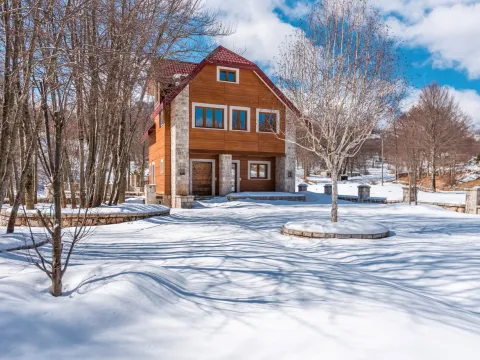 Sale, house, 402m², Ivanova Korita, Cetinje