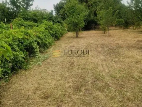 Prodaja, kuća, 43m², Širine, Petrovaradin - image 10