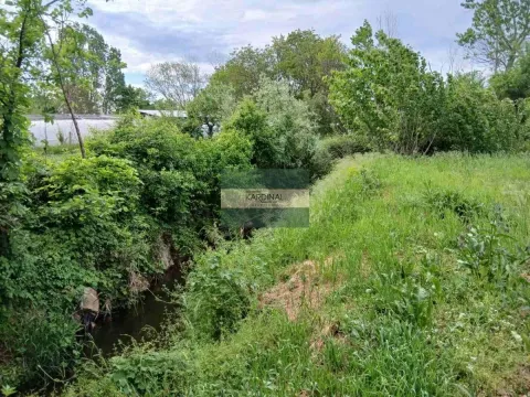 Prodaja, plac, 1500m², Trnava, Jagodina - image 8