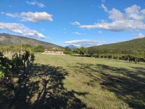 Prodaja, plac, 1520m², Beri, Podgorica - image 3