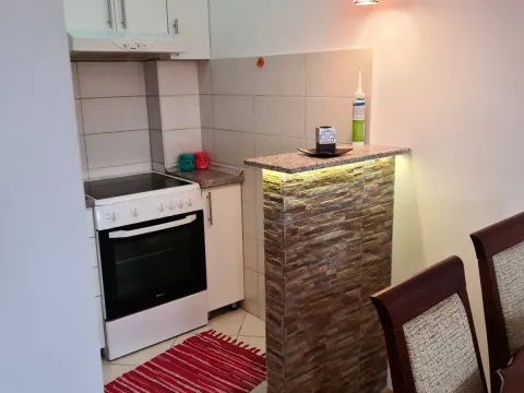 Izdavanje, jednosoban stan, 40m², Stari Aerodrom, Podgorica - image 8