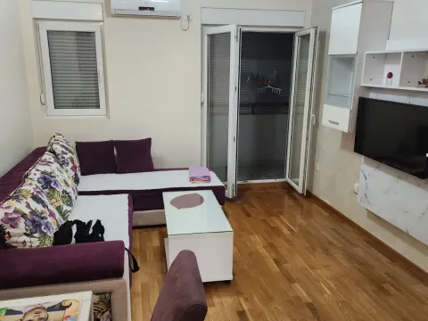 Rent, one bedroom apartment, 43m², Stari Aerodrom, Podgorica - image 2