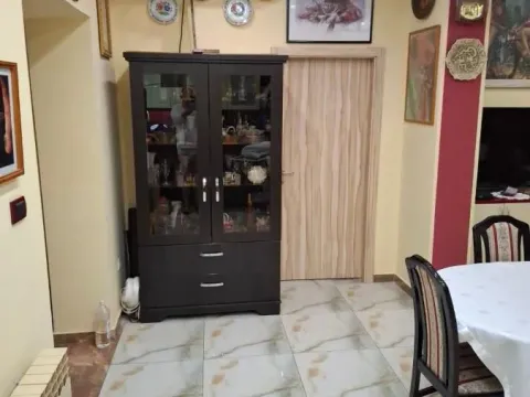 Sale, house, 210m², Podbara, Novi Sad Sve Podlokacije - image 9