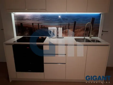 Rent, two bedroom apartment, 53m², Zeleni Venac, Beograd - image 8