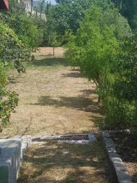 Green yard with an orchard and lawn. - image 12