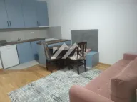 Izdavanje, jednosoban stan, 39m², Telep, Novi Sad Sve Podlokacije - image 1