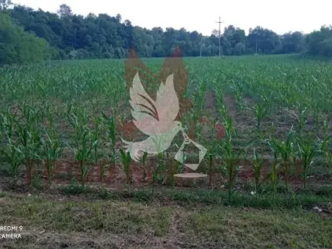 Prodaja, plac, 18200m², Sopot, Beograd - image 4