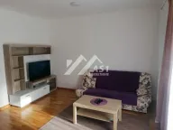 Izdavanje, dvosoban stan, 50m², Jugovićevo, Novi Sad Sve Podlokacije - image 1