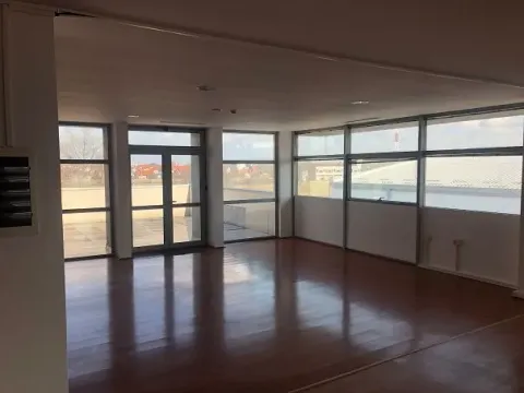 Izdavanje, poslovni prostor, 740m², Zemun Sve Podlokacije, Beograd - image 2