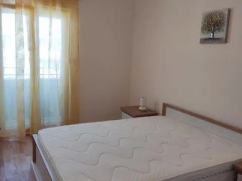 Izdavanje, jednosoban stan, 43m², Central Point, Podgorica - image 10