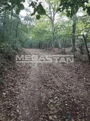 Prodaja, plac, 5770m², Šiljakovac, Barajevo